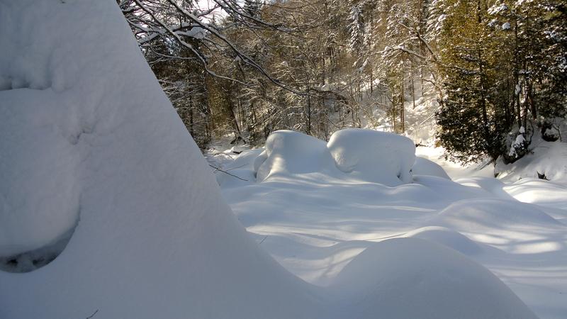 Parue dans : Parc national de la Jacques-Cartier