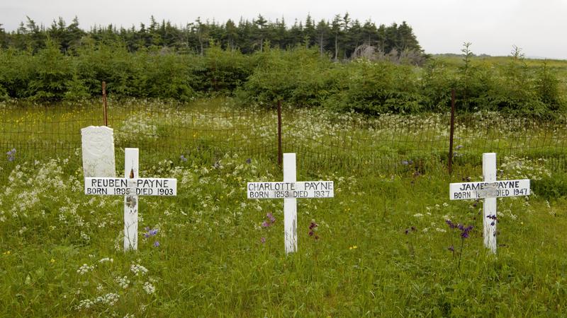 Parue dans : Terre Neuve deuxième voyage