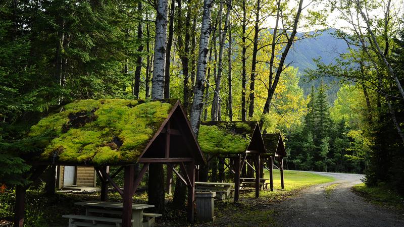 Parue dans : Parc national de la Gaspésie