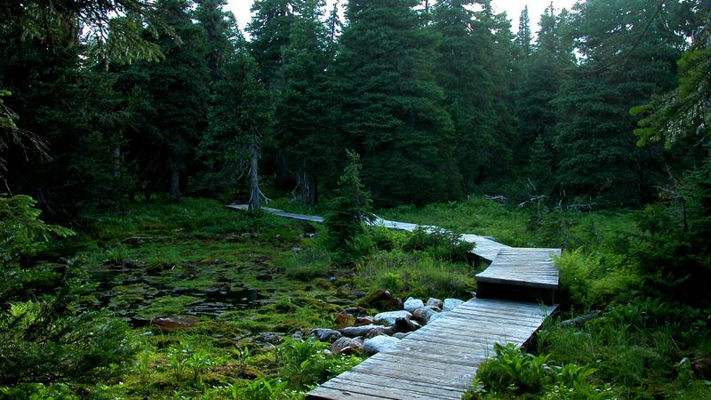 Parue dans : Randonnée du mont Jacques-Cartier au mont Albert