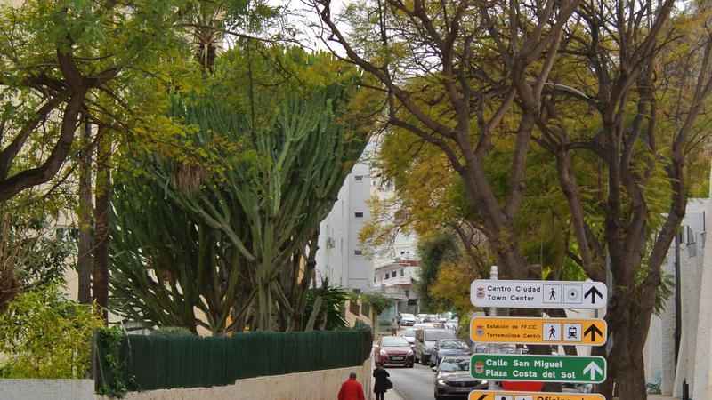 Parue dans : Un jardin fleuri