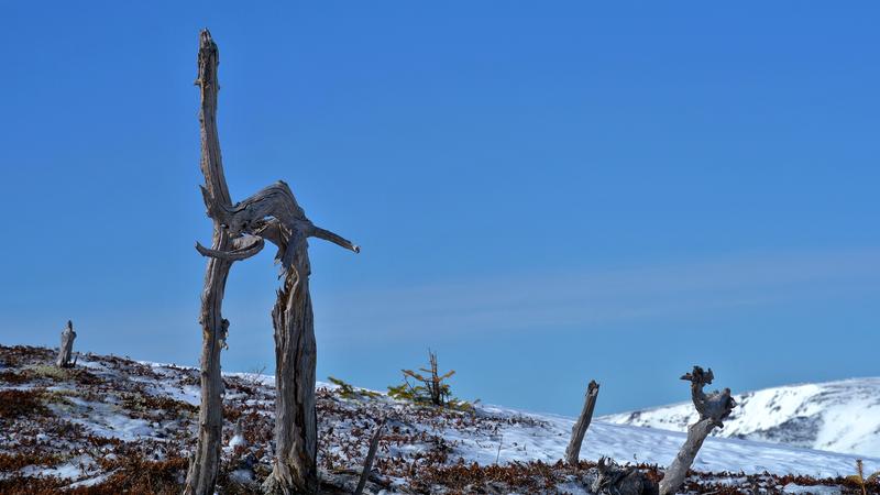 Parue dans : Mont Vallières-de-Saint-Réal