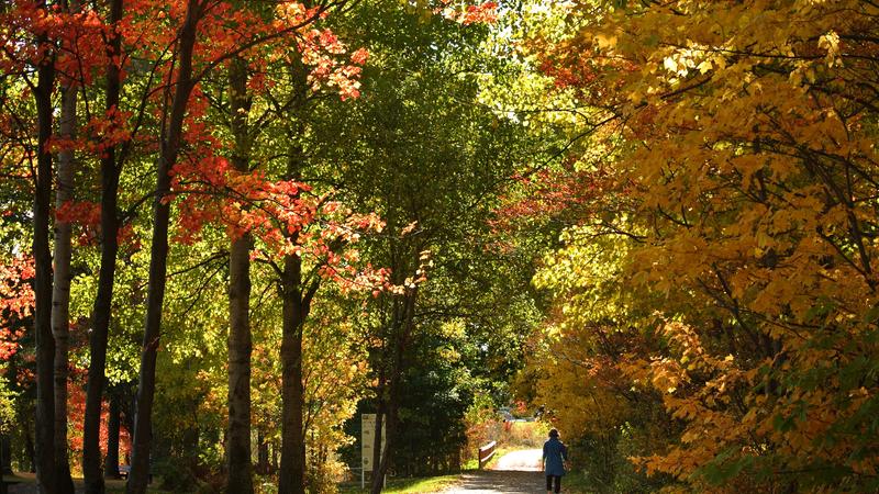 Parue dans : Véloroute de la Beauce
