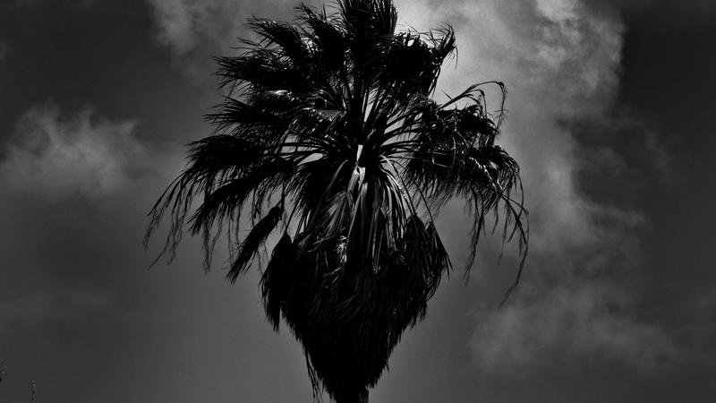 Parue dans : Lisbonne en noir et blanc