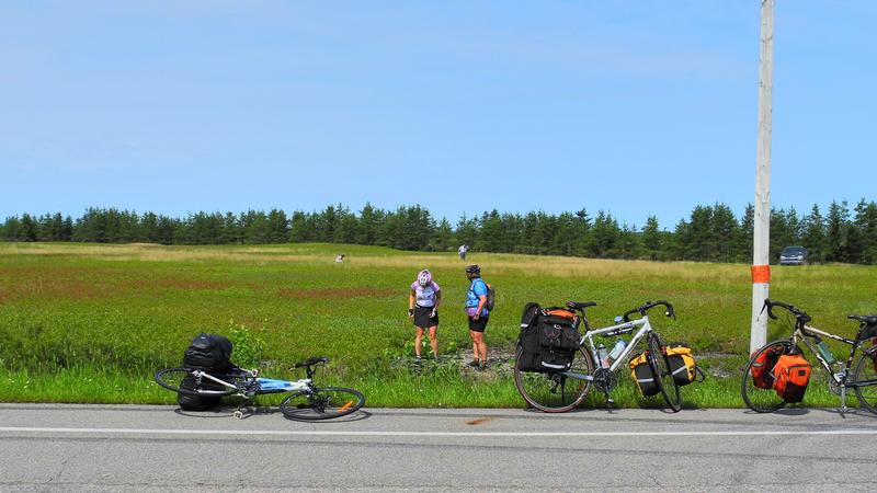 Parue dans : Lac Saint-Jean