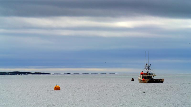 Parue dans : L'île Grand Manan