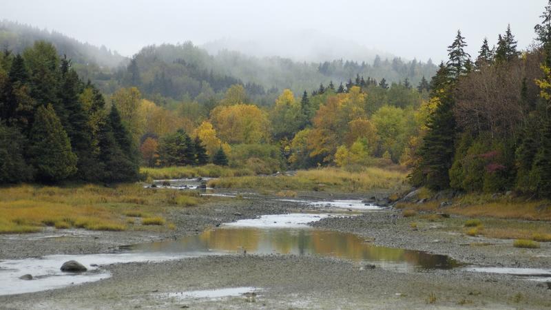 Parue dans : Parc national du Bic