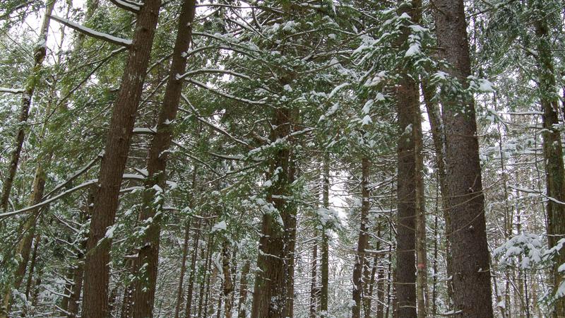 Parue dans : Parc naturel régional de Portneuf