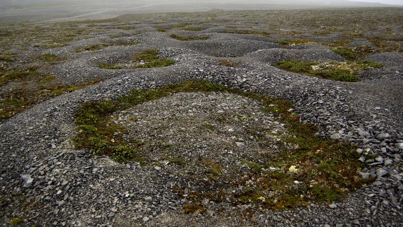 Parue dans : Terre Neuve deuxième voyage