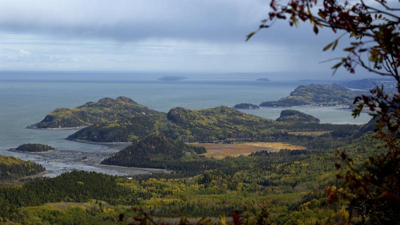 Parue dans : Parc national du Bic