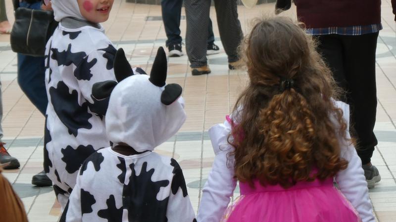 Parue dans : Rue San Miguel