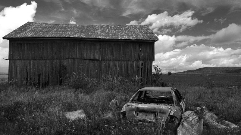 Parue dans : Abandonnés