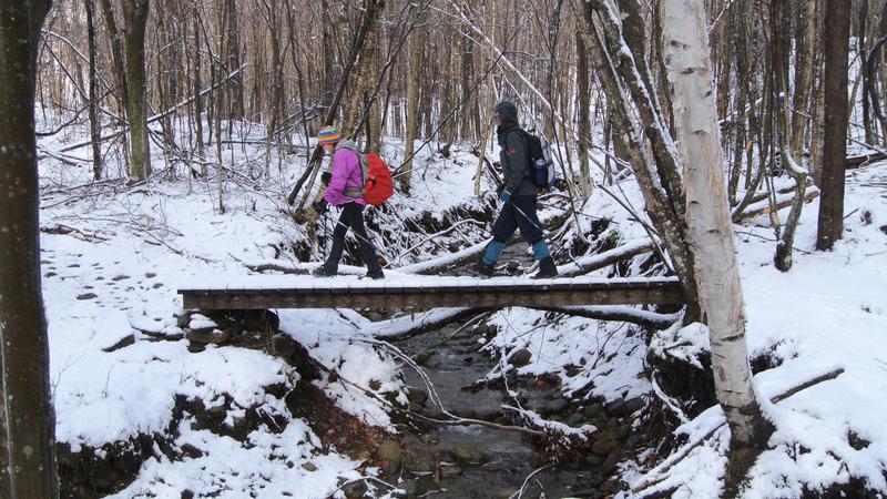 Parue dans : Parc naturel régional de Portneuf