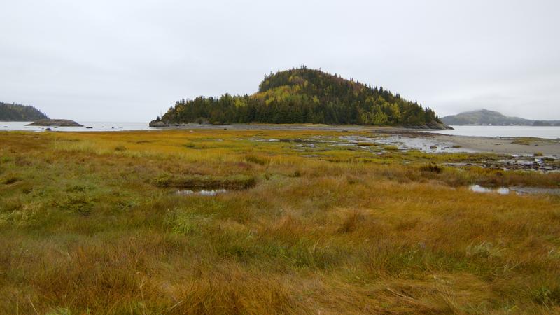 Parue dans : Parc national du Bic