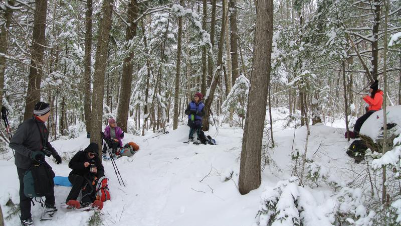 Parue dans : Parc naturel régional de Portneuf