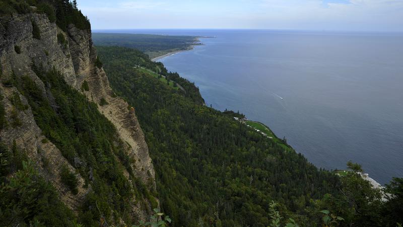Parue dans : Parc national Forillon