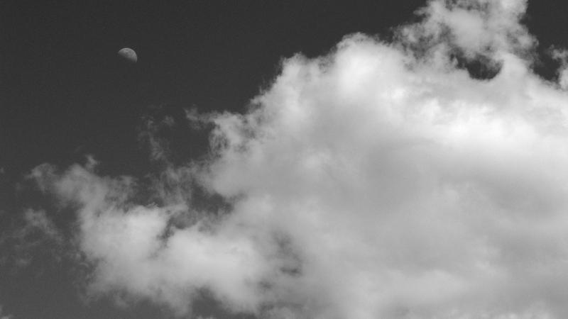 Parue dans : Spécial noir et blanc
