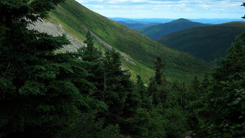 Parue dans : Randonnée du mont Jacques-Cartier au mont Albert