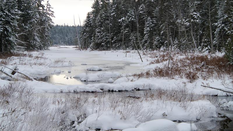 Parue dans : Parc naturel régional de Portneuf