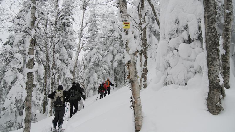 Parue dans : Le fabuleux royaume des Monts-Valin