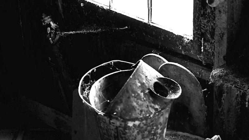 Parue dans : Spécial noir et blanc