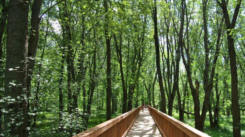 Parue dans : Parc Écomaritime de l'Anse-du-Port