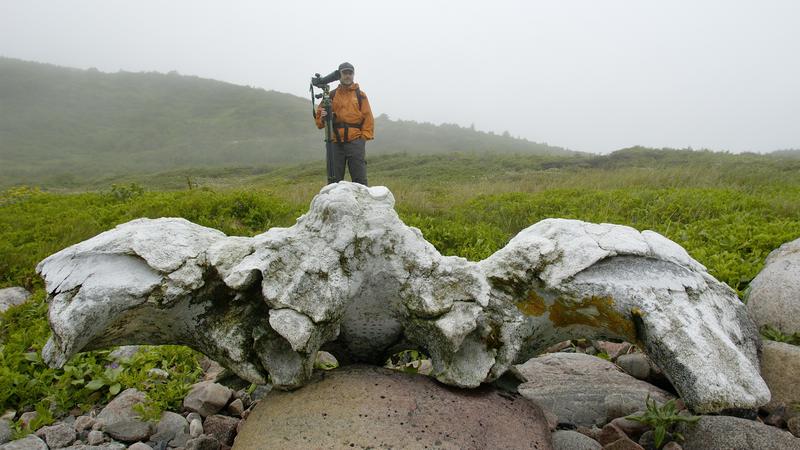 Parue dans : La côte du Labrador