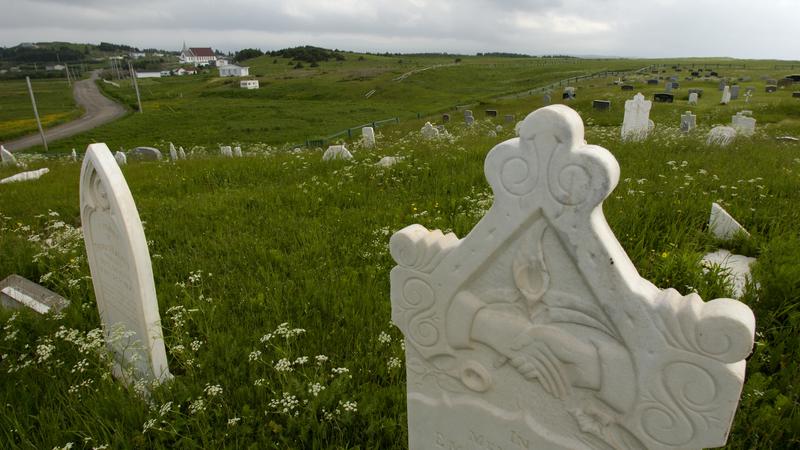 Parue dans : Terre Neuve deuxième voyage