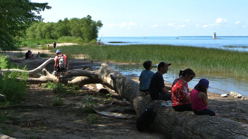 Parue dans : Parc Écomaritime de l'Anse-du-Port