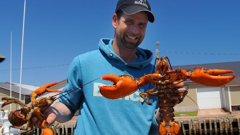Parue dans : L'Île-du-Prince-Édouard