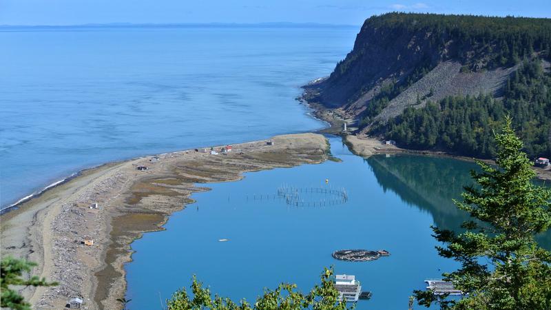 Parue dans : L'île Grand Manan