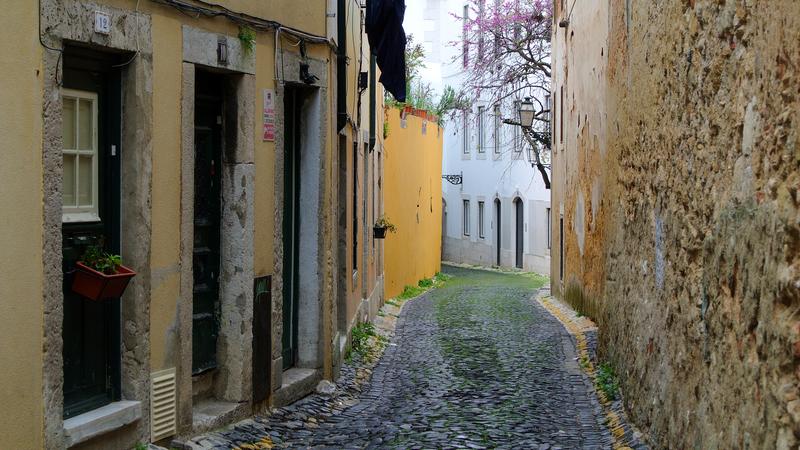 Parue dans : Lisbonne, entre rails et pavés