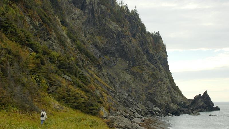 Parue dans : Parc national du Bic