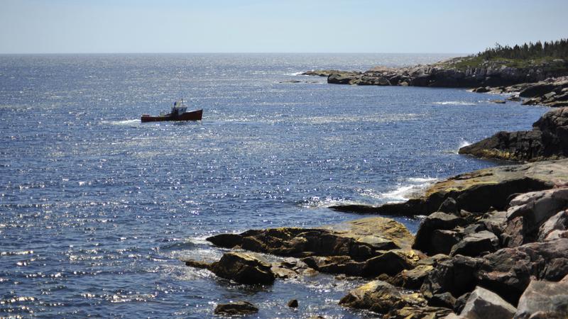 Parue dans : Iles du Cap Breton (Cabot Trail)