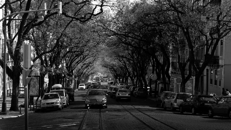 Parue dans : Lisbonne en noir et blanc