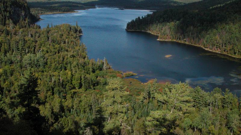 Parue dans : Parc national de la Mauricie