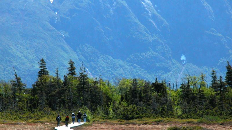Parue dans : Western Brook Pond