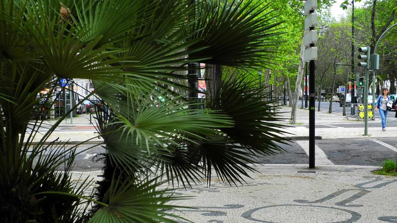 Parue dans : Lisbonne, entre rails et pavés