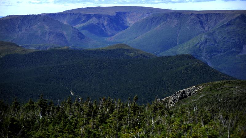 Parue dans : Parc national de la Gaspésie