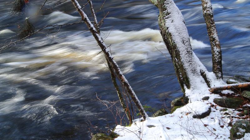 Parue dans : Parc naturel régional de Portneuf