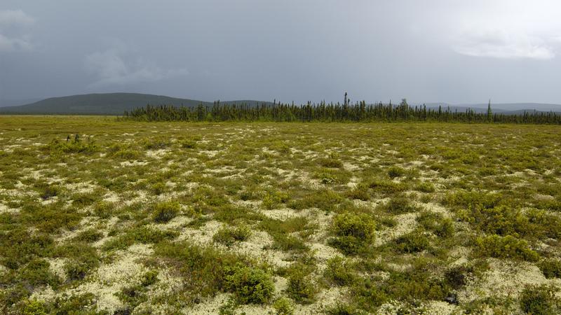 Parue dans : La côte du Labrador