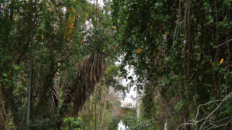 Parue dans : Un jardin fleuri