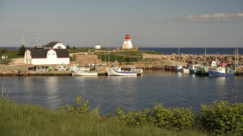 Parue dans : Iles du Cap Breton (Cabot Trail)