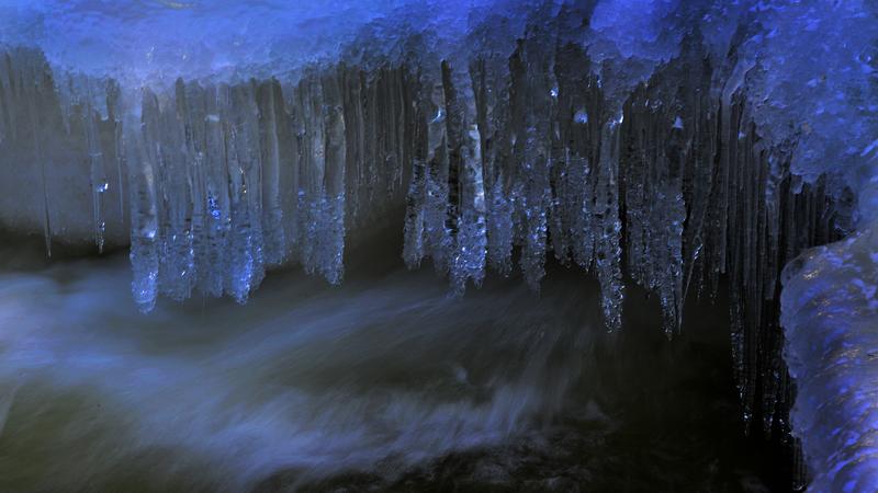 Parue dans : Nature hivernale
