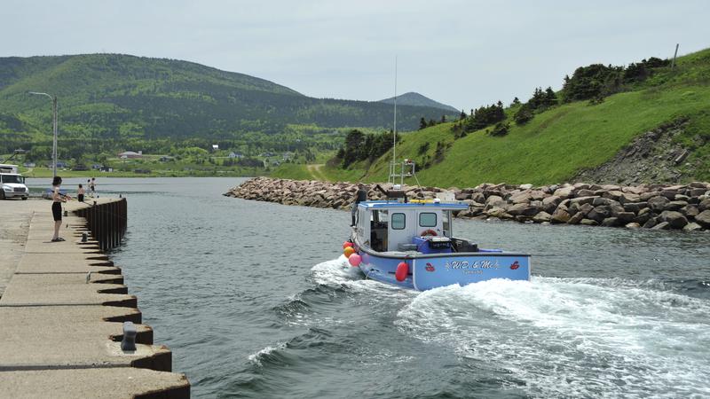 Parue dans : Iles du Cap Breton (Cabot Trail)