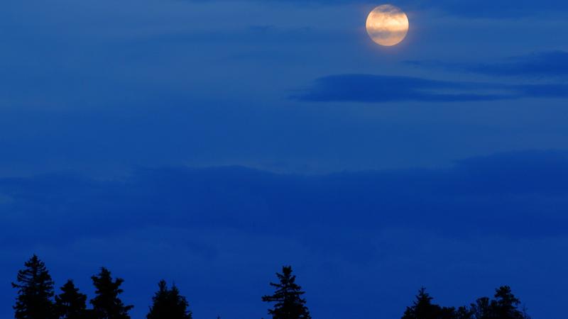 Parue dans : Lac Saint-Jean