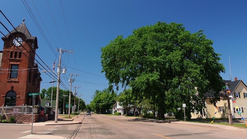 Parue dans : L'Île-du-Prince-Édouard