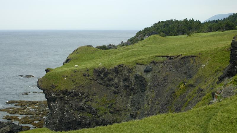 Parue dans : Terre Neuve deuxième voyage