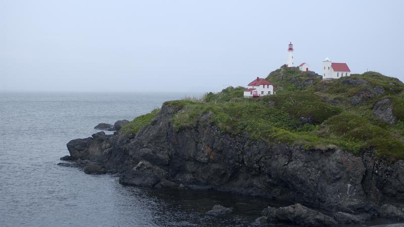 Parue dans : Terre Neuve deuxième voyage