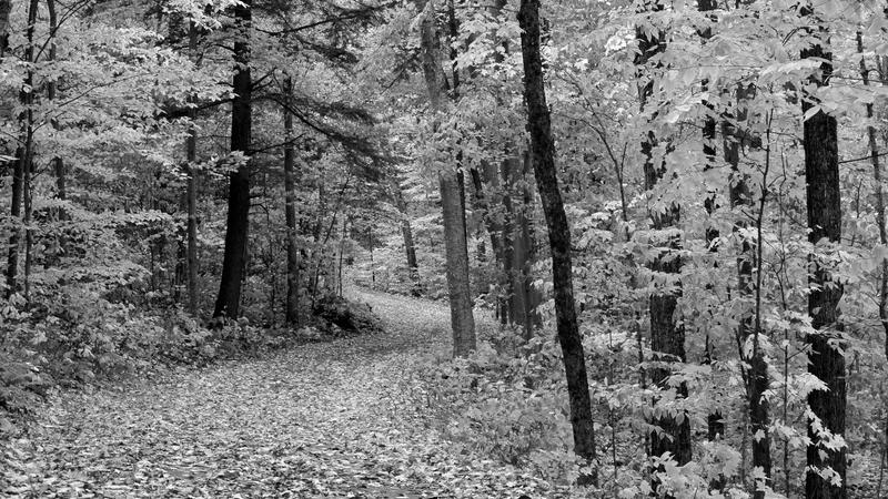 Parue dans : Paysage en noir et blanc